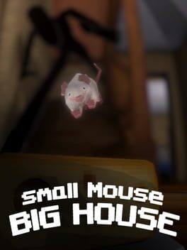 Small Mouse Big House
