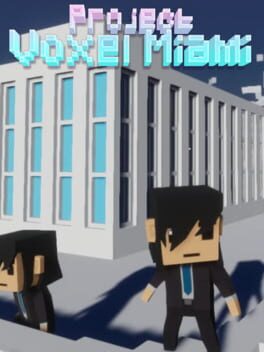 Project Voxel Miami