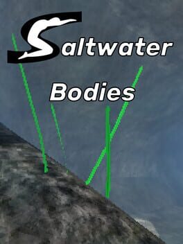 Saltwater Bodies