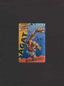 Super Street Fighter II: The New Challengers - Tiger Barcodzz: Sagat