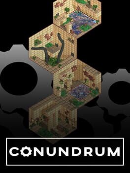 Conundrum