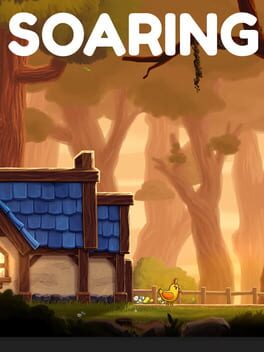 Soaring