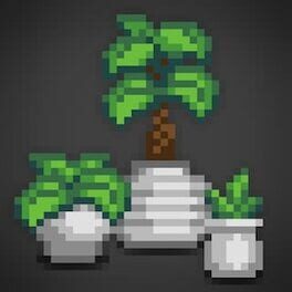 Decorative Plants