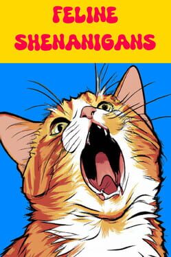 Feline Shenanigans