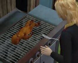 The Sims 2: OMGWTFBBQ