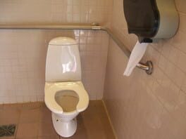 Toiletworld