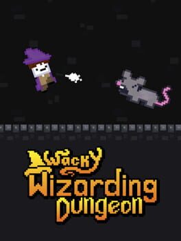 Wacky Wizarding Dungeon