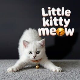 Little Kitty Meow
