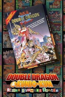 Double Dragon II: The Revenge