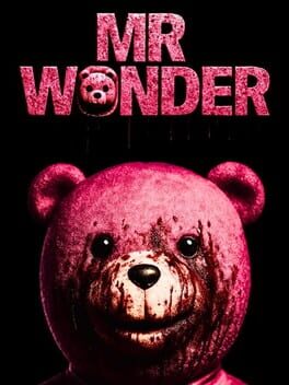 Mr Wonder