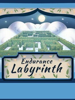 Endurance Labyrinth
