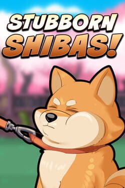 Stubborn Shibas