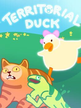 Territorial Duck