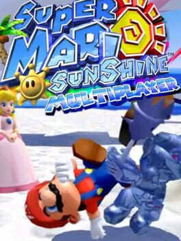 Super Mario Sunshine Multiplayer