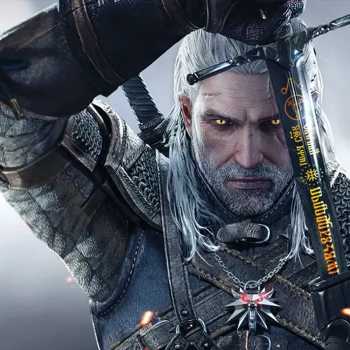 The Witcher